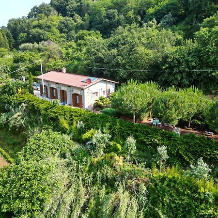 Agriturismo Le Fontane - Lago Di Bolsena Vila Grotte di Castro Exterior foto