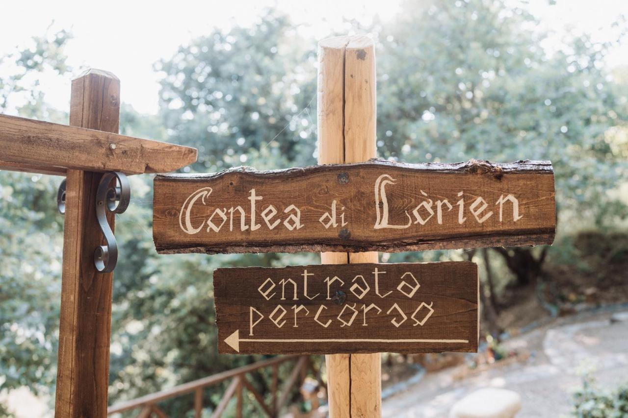 Agriturismo Le Fontane - Lago Di Bolsena Vila Grotte di Castro Exterior foto