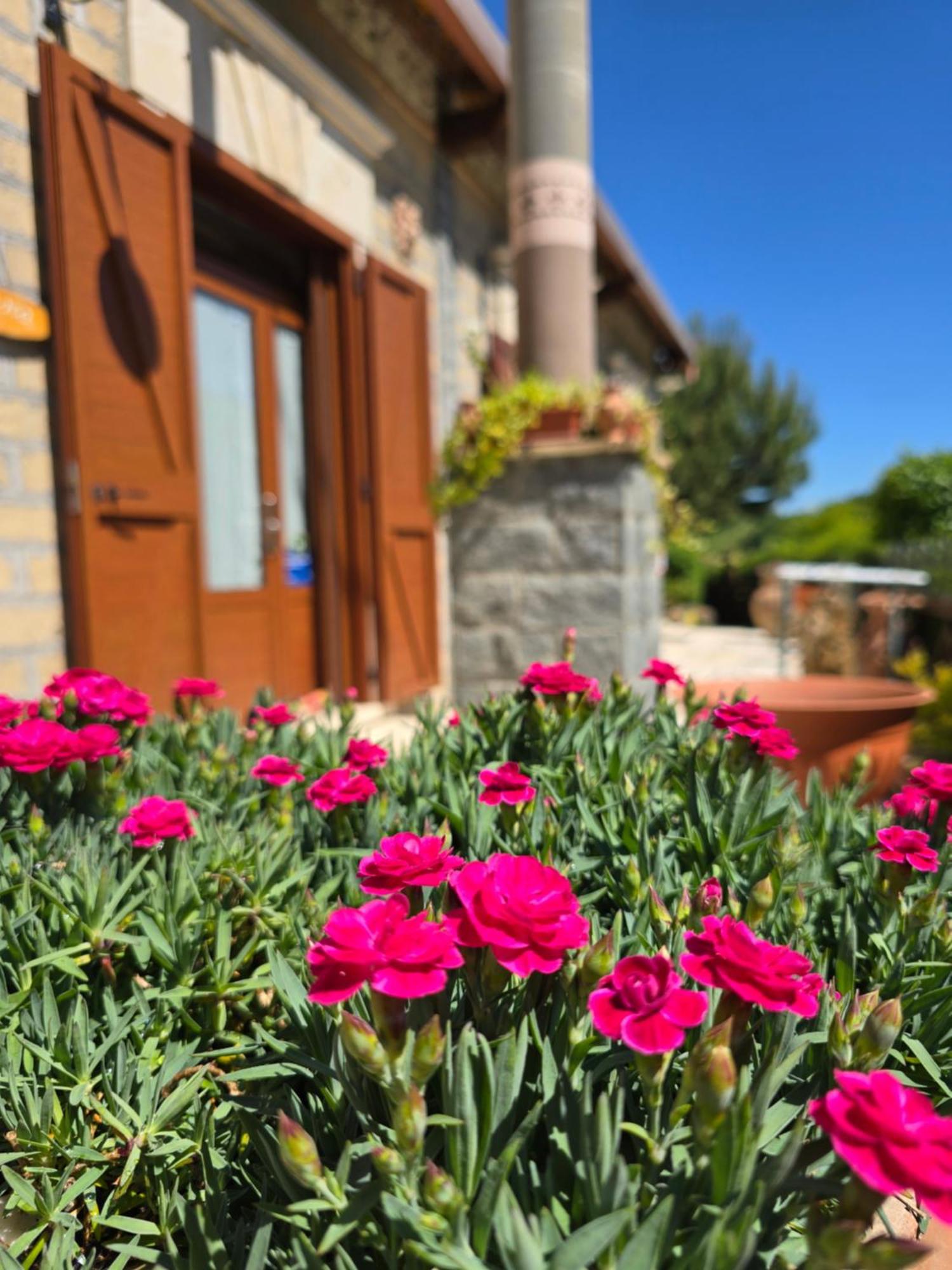 Agriturismo Le Fontane - Lago Di Bolsena Vila Grotte di Castro Exterior foto